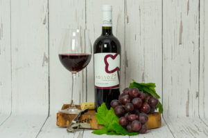 Rosso 23 Colli Maceratesi DOP Bio Rotwein