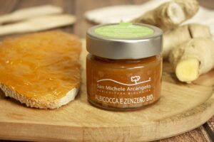 Bio Kompott aus Aprikosen und Ingwer 100g