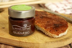 Bio Pflaumenkompott 100g